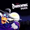 Darkwing Duck on Random TV Shows Canceled Before Their Time