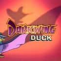 Darkwing Duck on Random Greatest Animated Superhero TV Series