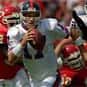 Dave Brown is listed (or ranked) 27 on the list The Best Arizona Cardinals Quarterbacks of All Time