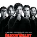 Thomas Middleditch, T.J. Miller, Josh Brener   Silicon Valley is an American television sitcom created by Mike Judge, John Altschuler and Dave Krinsky.
