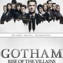 Gotham on Random Best Current Supernatural Shows