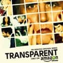 Transparent on Random Best Current TV Shows with Gay Characters