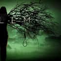 Janet Montgomery, Shane West, Seth Gabel   Salem is an American supernatural fiction drama television series created by Brannon Braga and Adam Simon, airing on WGN America starting April 20, 2014.