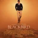 Blackbird on Random Best Black LGBTQ+ Movies