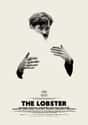 The Lobster on Random Best "Netflix and Chill" Movies Available Now