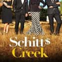 Schitt's Creek on Random Funniest Shows Streaming on Netflix