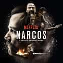 Narcos on Random Best TV Dramas On Netflix