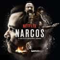 Narcos on Random Best TV Dramas On Netflix