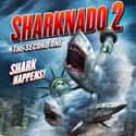 Sharknado 2: The Second One on Random Best Disaster Movies of 2010s