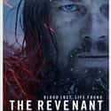 The Revenant on Random Best Recent Survival Shows & Movies