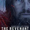 The Revenant on Random Best Tom Hardy Movies