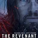 The Revenant on Random Best Movies You Never Want to Watch Again