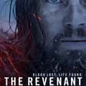 Metacritic score: 76 The Revenant is a 2015 American semi-biographical epic western film directed by Alejandro G. Iñárritu.