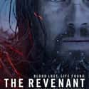 The Revenant on Random Best Survival Movies Based on True Stories
