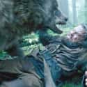The Revenant on Random Unbelievable Scenes From Historical Movies That Actually Happened