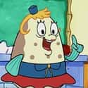 Mrs. Puff on Random Best SpongeBob SquarePants Characters