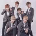 EXO-M on Random Best SM Entertainment Groups