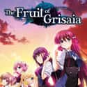 The Fruit of Grisaia on Random Best Dating Sim Games
