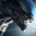 Alien: Isolation on Random Most Popular Horror Video Games Right Now