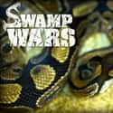 Swamp Wars on Random Best Current Animal Planet Shows