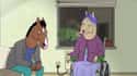 BoJack Horseman on Random TV Shows That Essentially Exist To Make You Cry