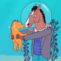 BoJack Horseman on Random Best Horse Cartoons