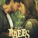 Raees on Random Best Bollywood Movies on Netflix