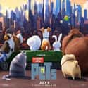 Louis C.K., Lake Bell, Kevin Hart   The Secret Life of Pets is a 2016 American computer-animated comedy film directed by Chris Renaud.
