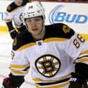 Forward   David Pastrňák (born 25 May 1996) nicknamed "Pasta”, is a Czech professional ice hockey right winger for the Boston Bruins of the National Hockey League (NHL).