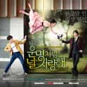 Wang Ji-won   Fated to Love You is a 2014 South Korean television series starring Jang Hyuk, Jang Na-ra, Choi Jin-hyuk and Wang Ji-won.