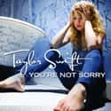 You're Not Sorry on Random Best Country Songs for Breakups