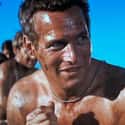 Luke Jackson is a fictional character from the 1967 film Cool Hand Luke.