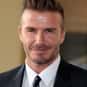 David Beckham is listed (or ranked) 6 on the list The Top 20 Hottest Male Celebrities