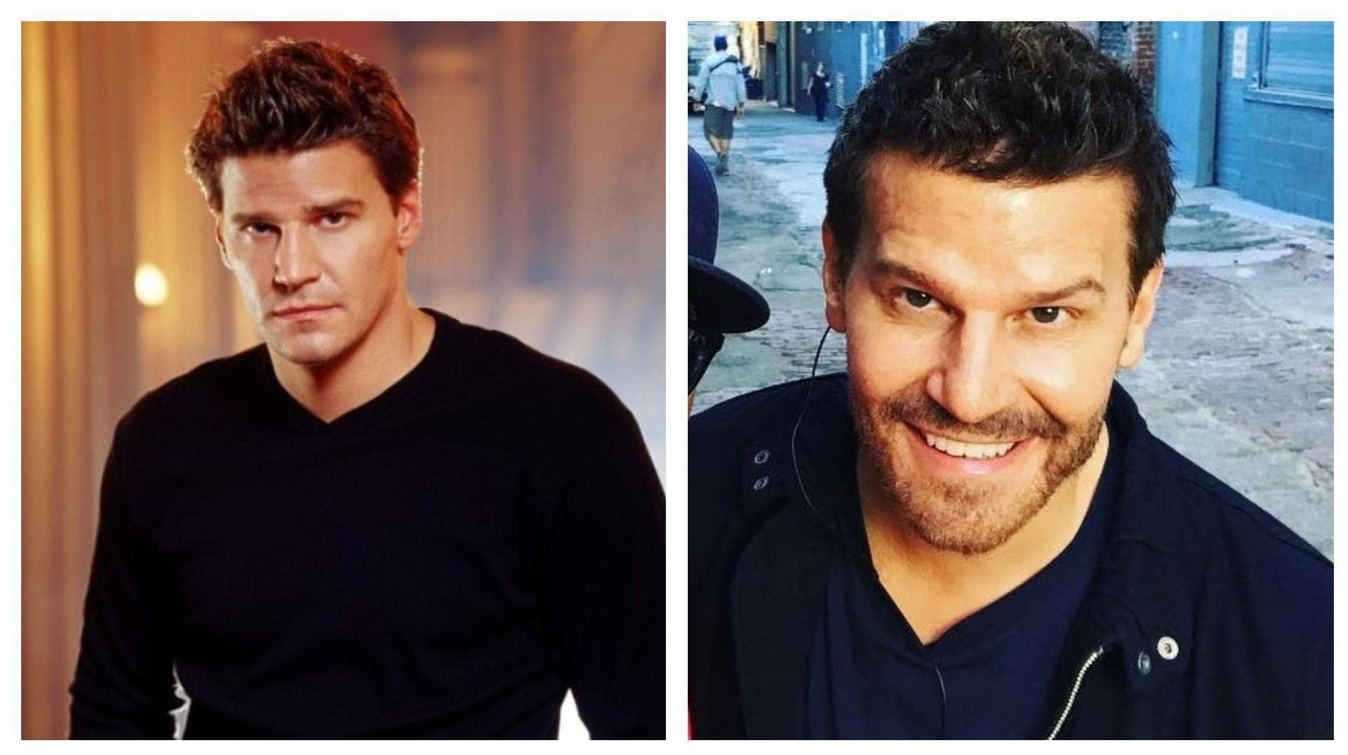 David Boreanaz Has Stayed A Familiar Face On TV