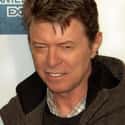 David Bowie on Random People Responded To Kurt Cobain's Death
