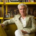 age 66   David Byrne is a Scottish musician and a founding member and principal songwriter of the American new wave band Talking Heads, active between 1975 and 1991.