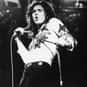 Glam metal, Blues-rock, Heavy metal   David Coverdale is an English rock singer best known for his work with Whitesnake, a hard rock band he founded in 1978.