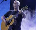David Gilmour on Random Ages of Rock Stars