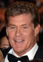 David Hasselhoff on Random Most Famous Celebrity From Your State