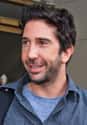 David Schwimmer on Random Cast of Friends: Where Are They Now