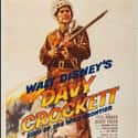 Davy Crockett, King of the Wild Frontier on Random Best Disney Live-Action Movies