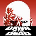 Dawn of the Dead on Random Best Zombie Movies