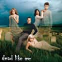 Dead Like Me on Random TV Shows Canceled Before Their Time