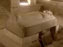 Sarcophagus on Random Odd And Insane Things Ancient Pharaohs Were Buried With