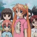 Mahou Sensei Negima! on Random Best Anime Like 'High School DxD'
