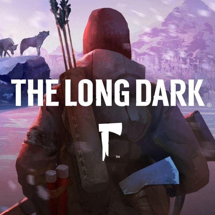 the long dark ps4 amazon