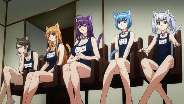 freedownload anime ecchi full episode 240p