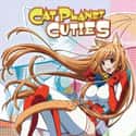 Cat Planet Cuties on Random Greatest Harem Anime