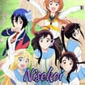 Nisekoi: False Love on Random  Best Anime Streaming On Hulu