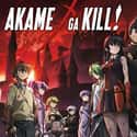 Akame ga KILL! on Random Best Anime Streaming on Netflix